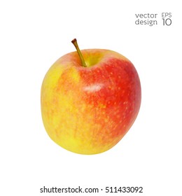 Realistic red and yellow apple isolated on white background. Natural fruit. Collection of dietary products. Elements for design. Vector illustration EPS 10.