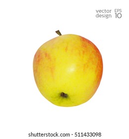 Realistic red and yellow apple isolated on white background. Natural fruit. Collection of dietary products. Elements for design. Vector illustration EPS 10.