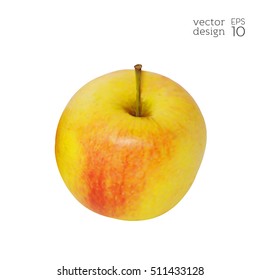 Realistic red and yellow apple isolated on white background. Natural fruit. Collection of dietary products. Elements for design. Vector illustration EPS 10.