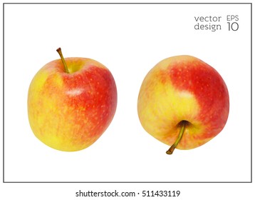 Realistic red and yellow apples isolated on white background. Natural fruit. Collection of dietary products. Elements for design. Vector illustration EPS 10.
