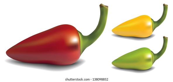 Realistic red, yellow and green vector pepper on white background