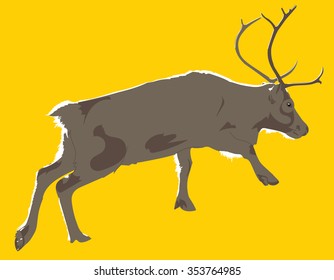 realistic reindeer vector illustration 