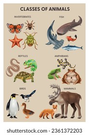 Realistic reptiles amphibians infographic invertebrates reptiles birds mammals amphibians and fish descriptions vector illustration