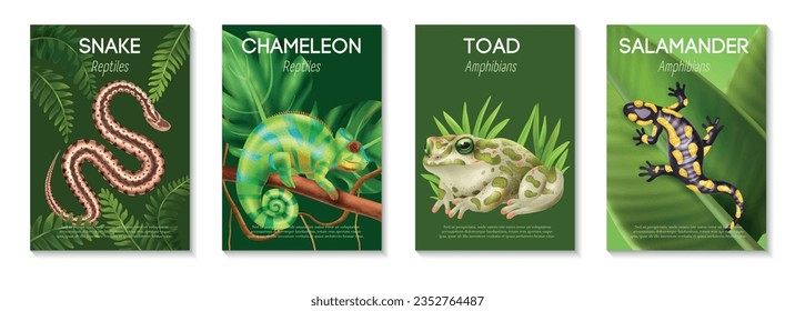 Reptiles realistas anfibios afiche con sapo de camaleón de serpiente y titulares de salamandra ilustración vectorial