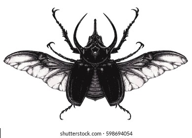 realistic rhinoceros beetle with wings flying