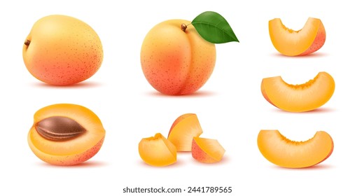 Realistic ripe apricot fruit. Half, whole and slice juicy fruit reveals a golden-orange hue with a succulent texture, exudes a plump freshness. Juicy, amber flesh unveils natural sweet flavorful aroma