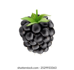 Realistic ripe blackberry, isolated raw berry fruit for organic natural food package, vector 3D macro. Fresh farm or forest blackberry fruit for juice or jam and smoothie drink or package design