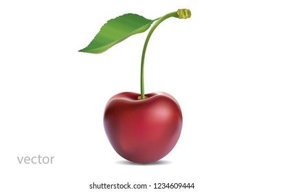 Realistic ripe cherry with green leaf on a white background with gradient mesh. 3D effect. Vector illustration.