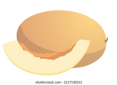 Realistic ripe fresh melon against white background - Vector illustration