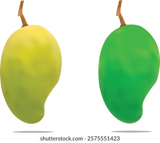 Realistic Ripe And Green Mango Vector Illustration 