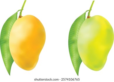 Realistic Ripe Mango Vector Design For Illustration 