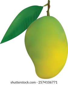 Realistic Ripe Mango Vector Design For Illustration 
