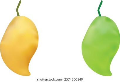 Realistic Ripe Mango Vector Illustration 