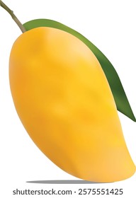 Realistic Ripe Mango Vector Illustration 