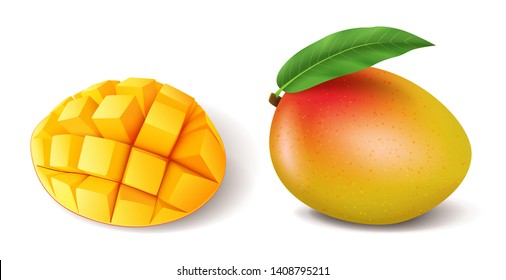 Realistic ripe mango whole with leaf and sliced, natural product, fresh tropical orange fruit, vector illustration