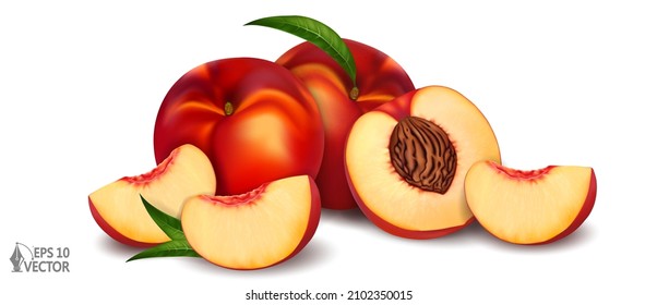 Realistic ripe nectarines, peaches, whole, half and slice. Group of fresh fruit, realistic 3d vector illustration, detail isolated on white background