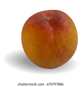 Realistic ripe, orange-pink peach isolated on white background