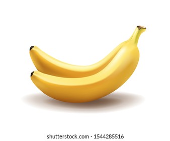 Realistic ripe pair of bananas isolated on white background. Vector illustration