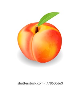 Realistic Ripe Peach with Leaf on White Background, Isolated Sweet Fruit, 3D Hand Drawn Vector Illustration EPS 10