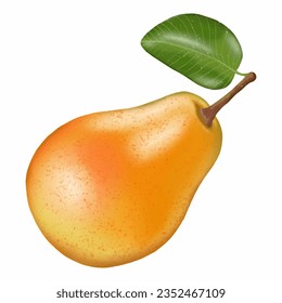 Realistic ripe pear, hand drawn on a white background. Fruit for creating decor, advertising creatives, designs and patterns, for social media posts.