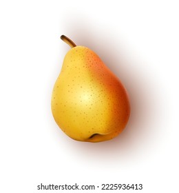 Realistic ripe pear on a white background. Vector illustration