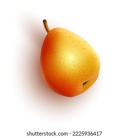 Realistic ripe pear on a white background. Vector illustration