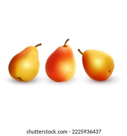 Realistic ripe pear on a white background. Vector format