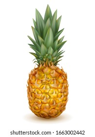 Piña madura realista aislada en un fondo blanco. Ilustración vectorial 3d. Diseño de iconos de frutas tropicales dulces