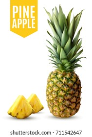 Realistic ripe pineapple and two fresh slices isolated on white background vector illustration