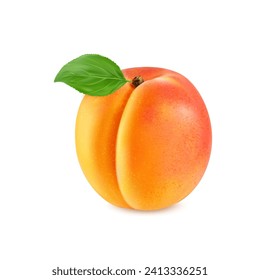 Realistic ripe raw apricot fruit, isolated whole, velvety, golden-orange plant with green leaf, sweet and juicy 3d vector delightful blend of tartness and sweetness, delectable and nutritious treat