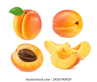 Realistic ripe raw apricot fruit, isolated whole, half and slice cut, vector food. Fresh apricot fruit cut in section or whole with leaf and seed for juice or jam and organic food product package