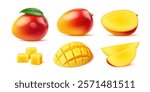 Realistic ripe raw mango fruit whole and cut in pieces or cubes, vector objects. 3D or realistic mango whole or cut in half and lumps for juice flavor, jam or marmalade and sweet dessert food package