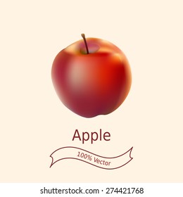 Realistic ripe red apple. Vector Illustration EPS10.