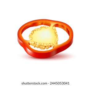 Realistic ripe red bell pepper slice, vector farm food, fresh vegetables. 3d paprika, capsicum or sweet pepper ring with seeds. Fresh raw juicy cut of bulgarian plant fruit, paprika spice, veggie food