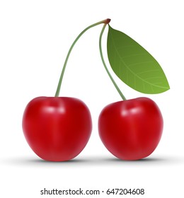 realistic Ripe red cherry berries with leaves. Vector illustration