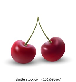 realistic Ripe red cherry berriy. Vector illustration