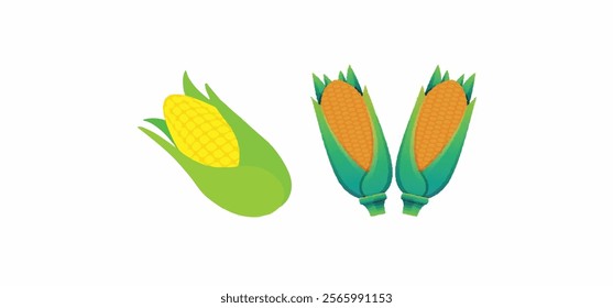 Realistic ripe sweet corn cobs with juicy kernels. Isolated  vector yellow raw maize corncobs with green leaves. Nutritious, tender, sugary cylindrical ears of farm plant, filled with rows of seeds