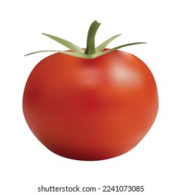 Realistisches reife Tomate-Vektordesign