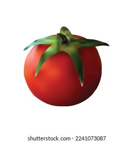 Realistic ripe tomato vector design