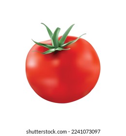 Realistic ripe tomato vector design