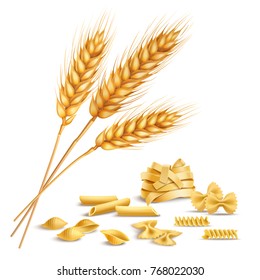 Realistic ripe wheat spikelets and pasta including fusilli, farfalle, penne composition on white background vector illustration