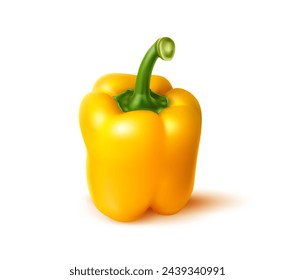 Realistic ripe yellow bell pepper, whole vegetable or veggie farm food, isolated vector. Fresh ripe yellow bell pepper, realistic object in macro closeup or 3D for organic food and natural cuisine