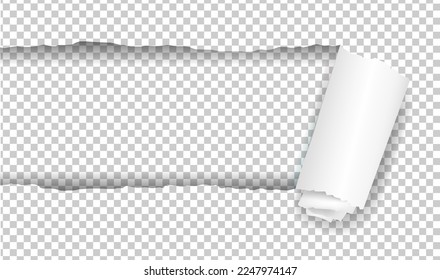 Realistic Ripped White Paper Banner Design With Gradient Mesh, Vector Illustration