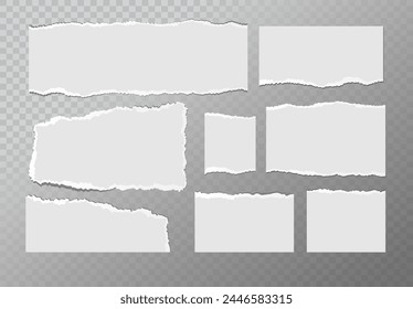 Realistic ripped white paper sheets isolated on transparent background. Torn blank pages with uneven texture. Vector