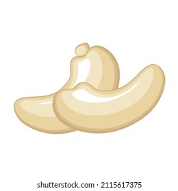 Realistic roasted cashew nuts on white background - Vector illustration