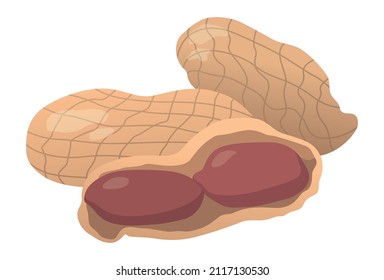 Realistic roasted peanut nuts white background - Vector illustration