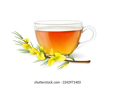 Realistic rooibos tea cup and flower. 3d vector transparent glass mug with fresh hot herbal drink and plant branch with yellow blossoms. Red roibos tea infusion design isolated on white background