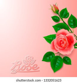 Realistic rose with bud and artistic inscription. Layout design for decoration of cards for the wedding day or birthday or anniversary.