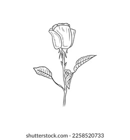 Realistic rose bud flower with stem and leaves in black isolated on white background. Hand drawn vector sketch illustration in engraving doodle outline vintage line art style. Spring, love, gift.