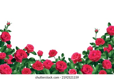 Hand Drawn Rose Bush And Flying Butterfly Isolated On White Background.  Pencil Drawing Flowers, Leaves, Buds And Insects Monochrome Elegant  Composition In Vintage Style. Stock Photo, Picture and Royalty Free Image.  Image